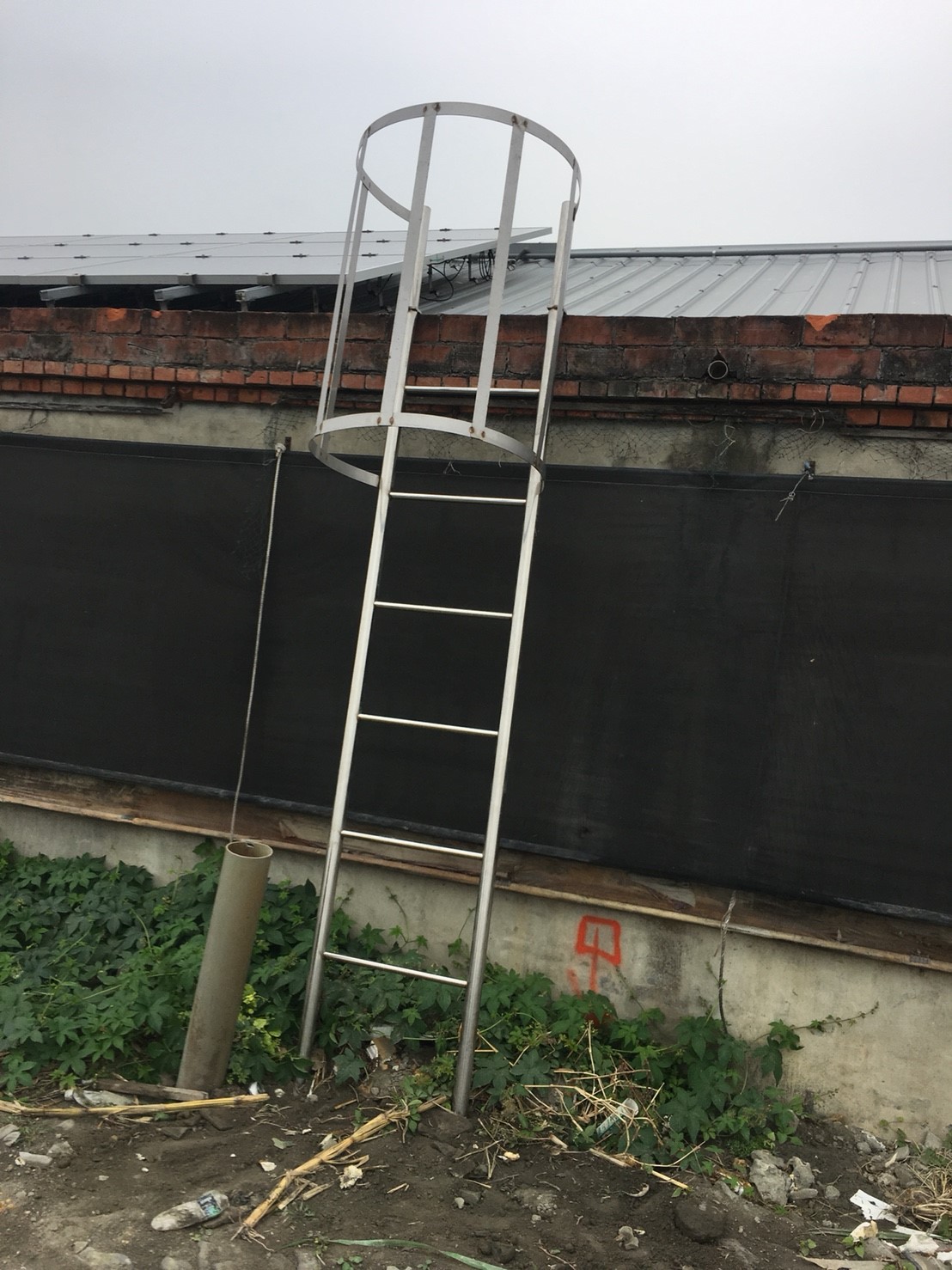 麥寮-三盛村豬舍太陽能-16