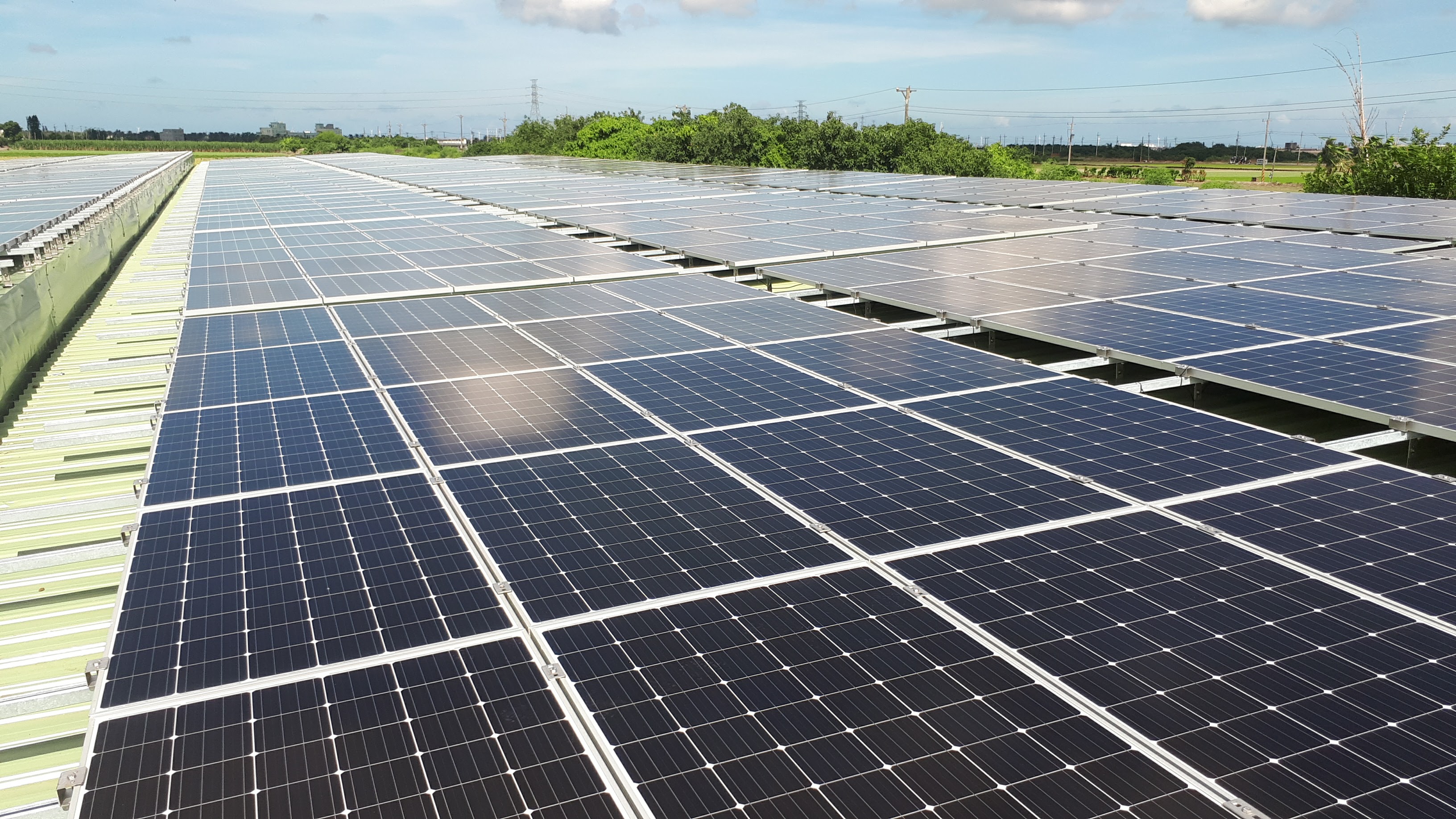 四湖-保安段鴨鵝舍太陽能-9