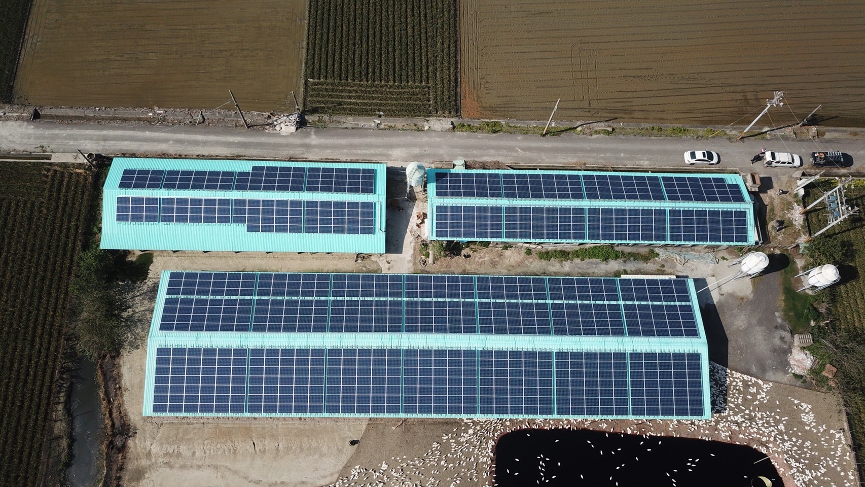 東勢-東北村鵝舍太陽能-1