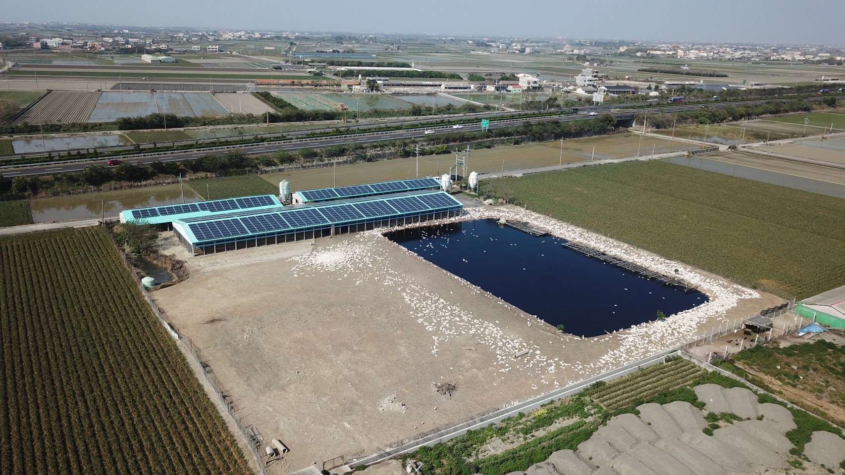 東勢-東北村鵝舍太陽能5