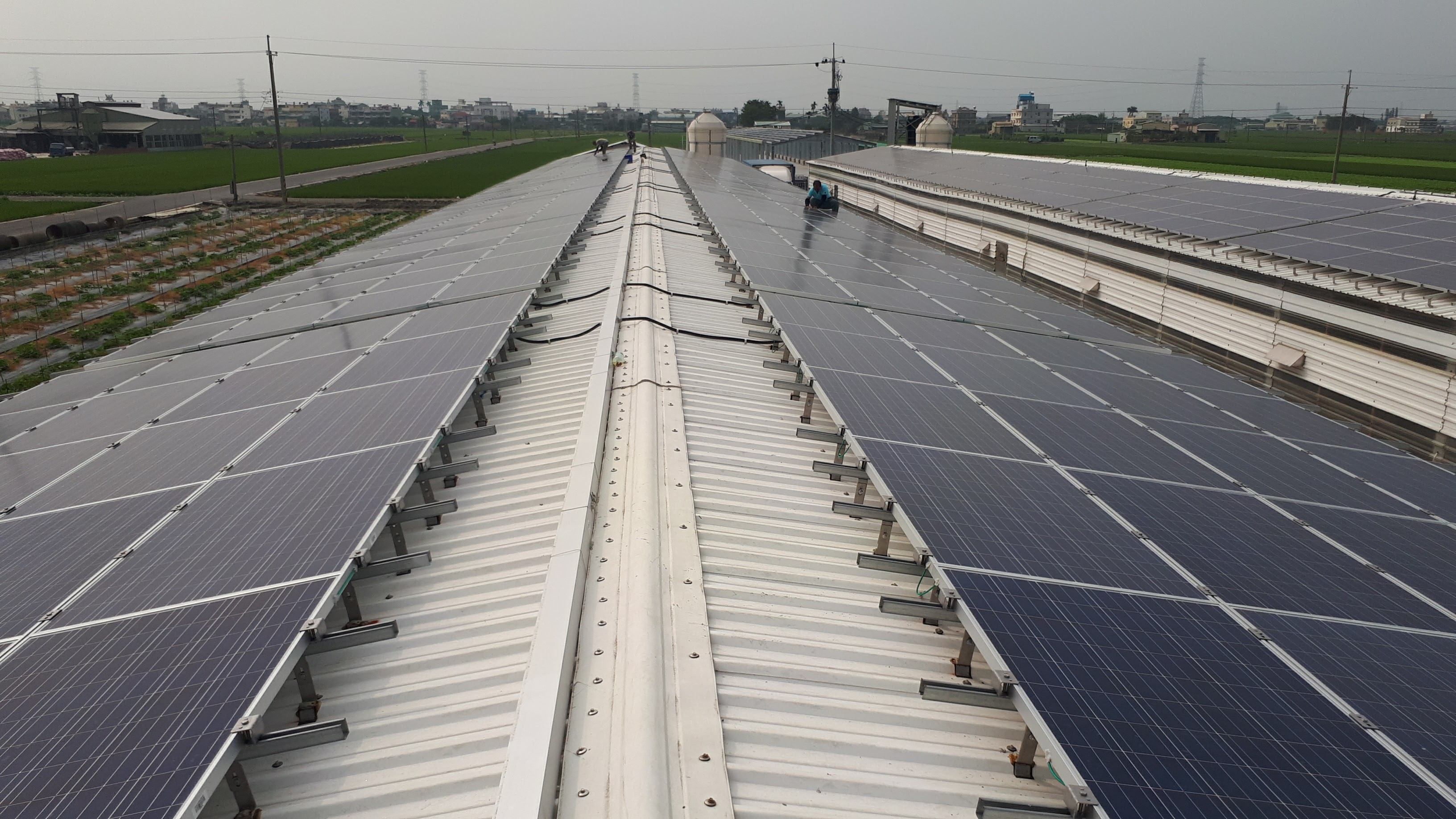 溪口蔡先生雞舍第二期-3