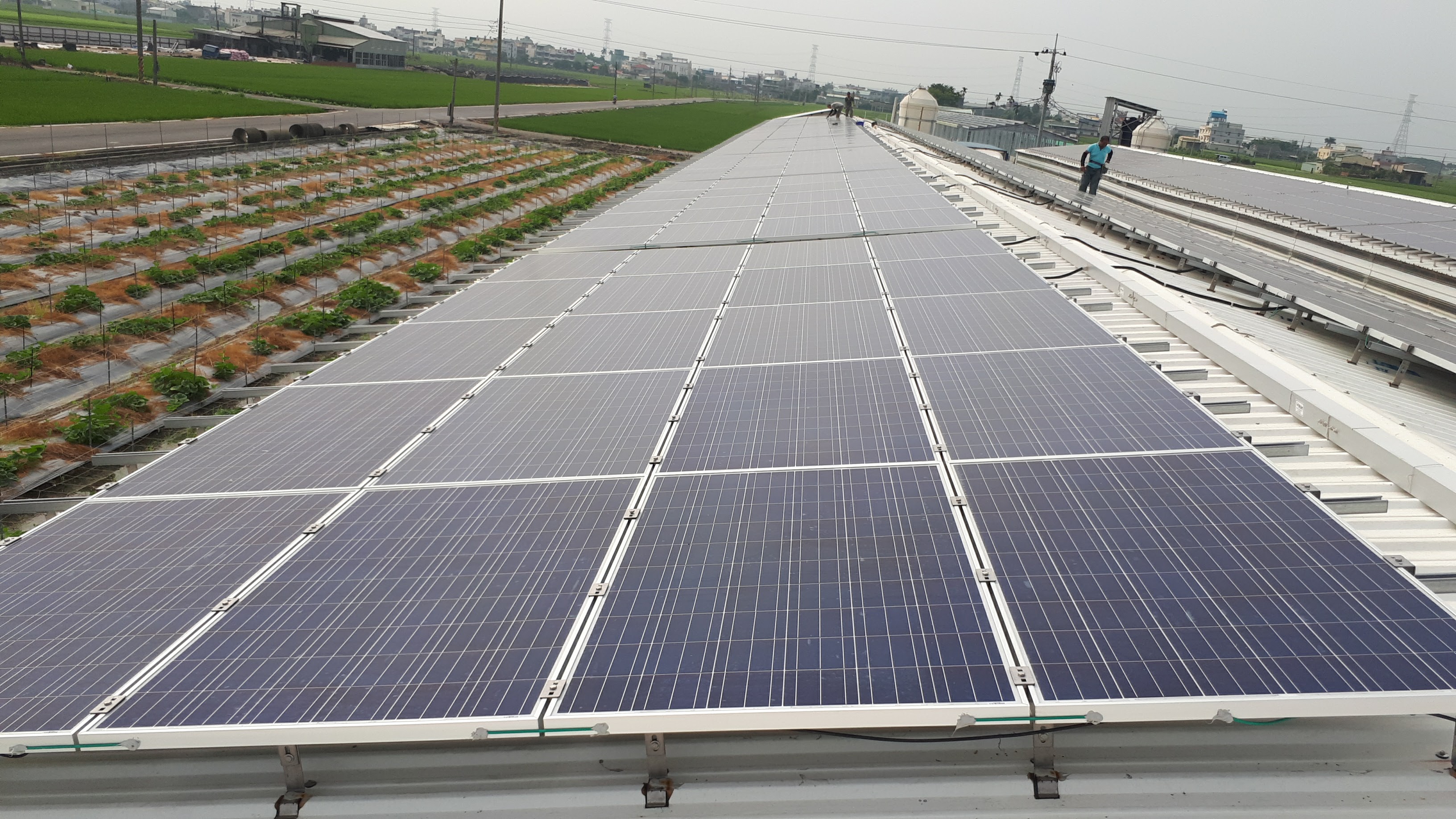 溪口蔡先生雞舍第二期-2