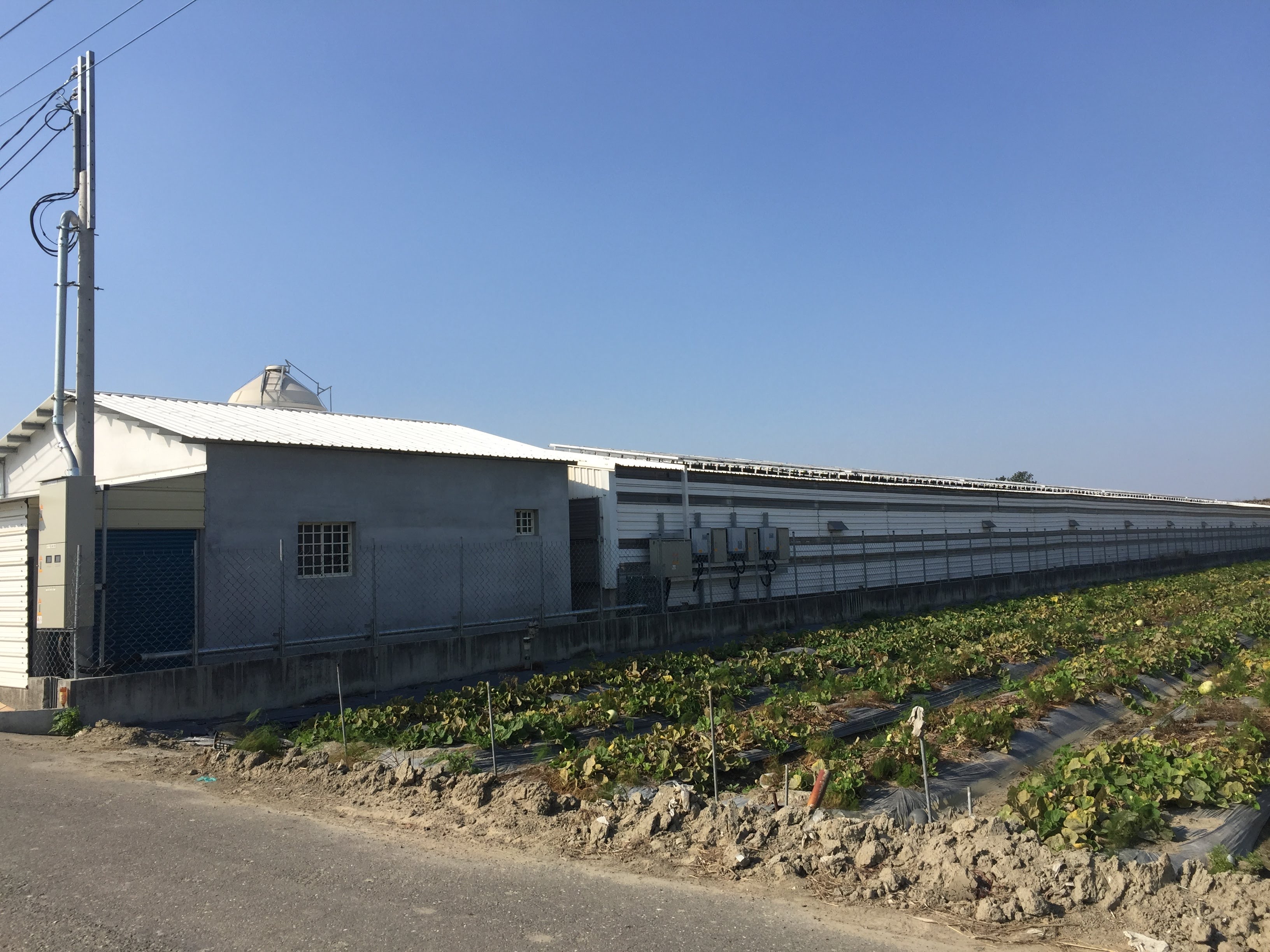 溪口蔡先生雞舍第二期-7