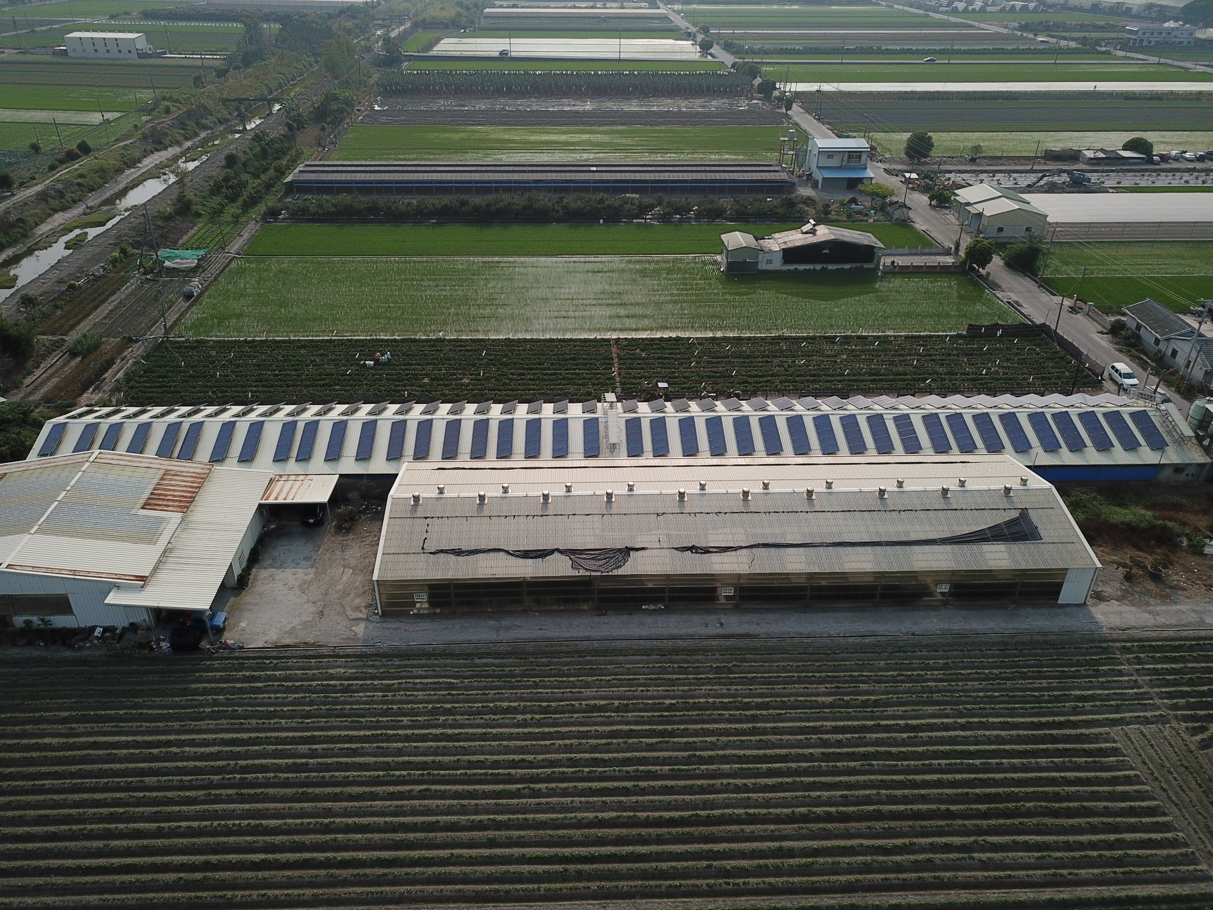 莿桐農校路-雞舍太陽能-2