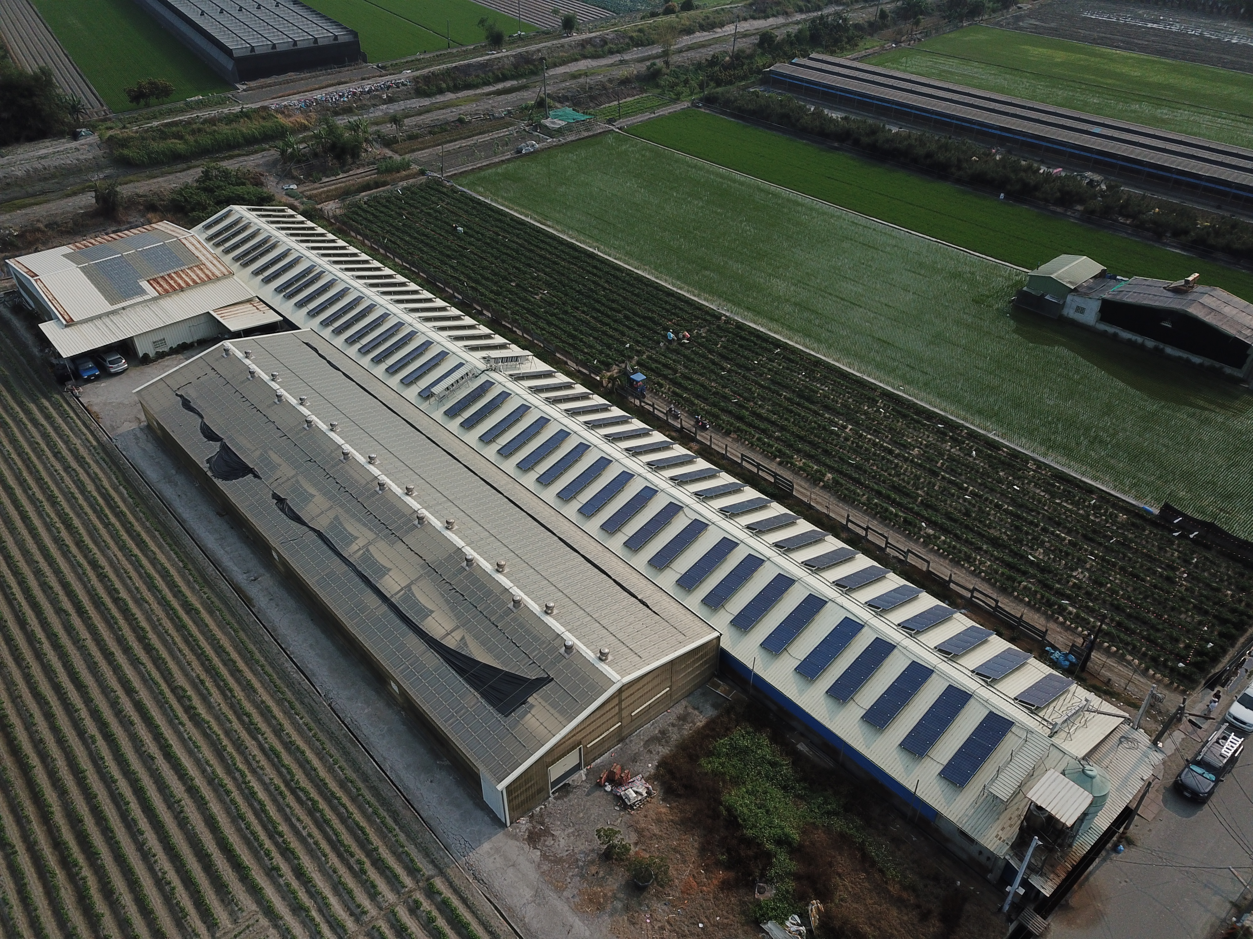 莿桐農校路-雞舍太陽能-4