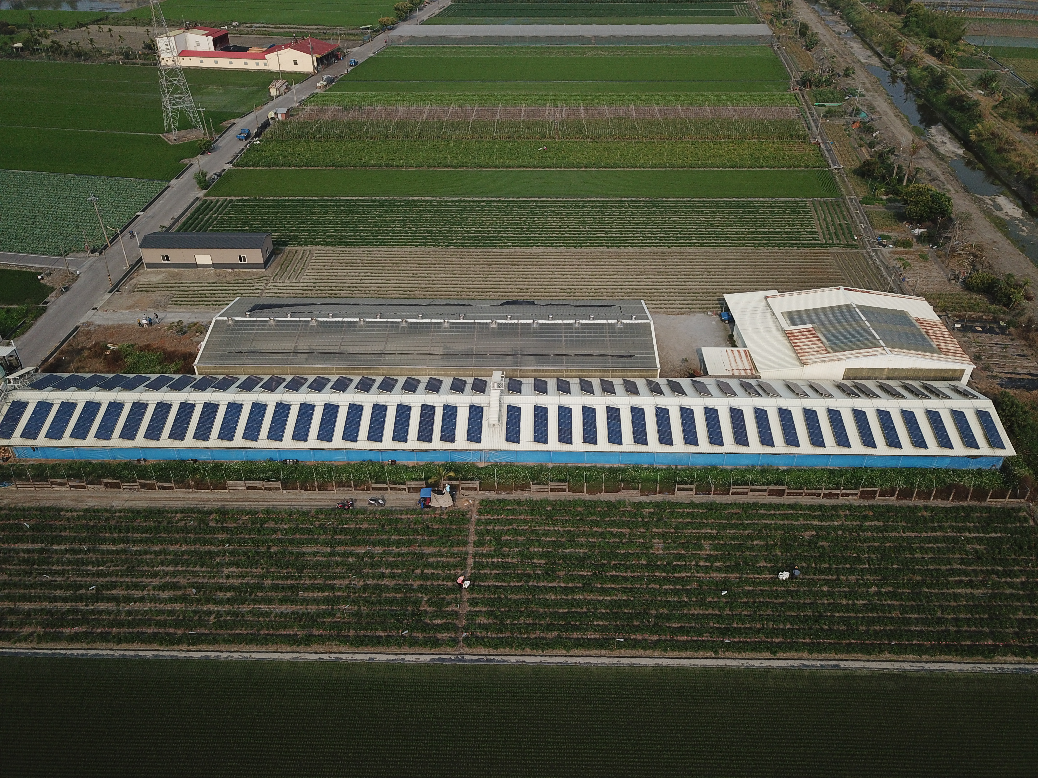 莿桐農校路-雞舍太陽能-6