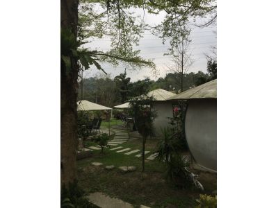 谷泉咖啡莊園-undefined