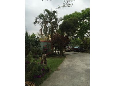 谷泉咖啡莊園-undefined