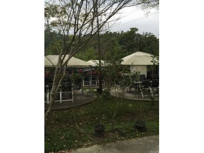 谷泉咖啡莊園-undefined