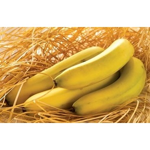 香蕉