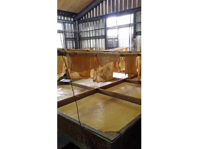 大池豆包豆花豆漿店-undefined