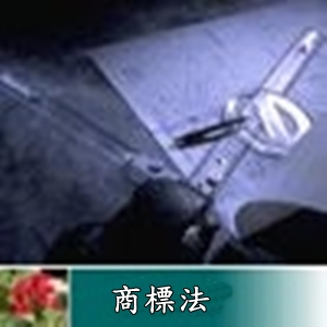 商標法第七章(61-71條)