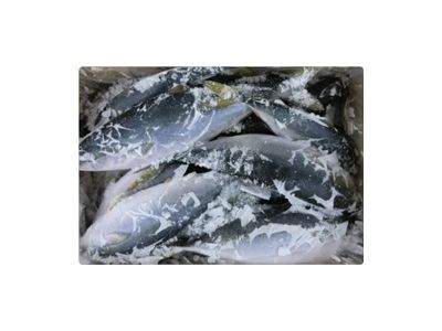 紳滙國際有限公司-undefined