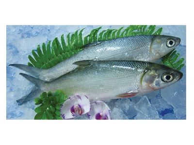 紳滙國際有限公司-undefined