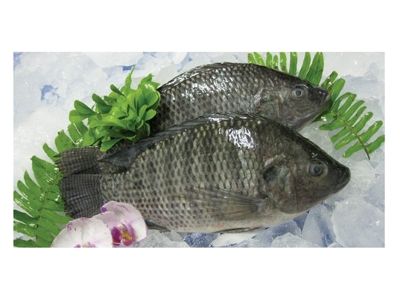 紳滙國際有限公司-undefined