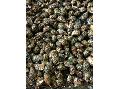 瓏豐水産有限公司-undefined