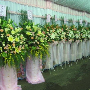 荳荳花坊-undefined