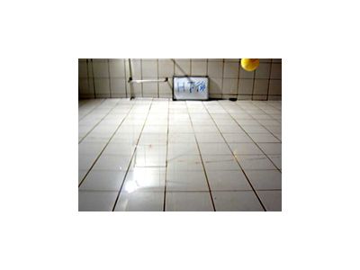 大聖環保有限公司-undefined