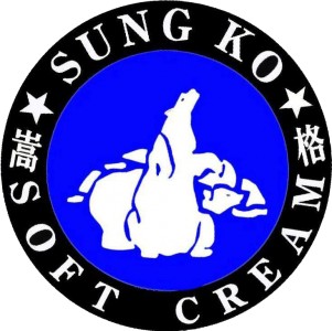 嵩格有限公司-undefined