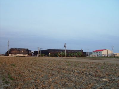 牛記蘭花科技股份有限公司-undefined