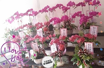 丹華蘭園花店-undefined