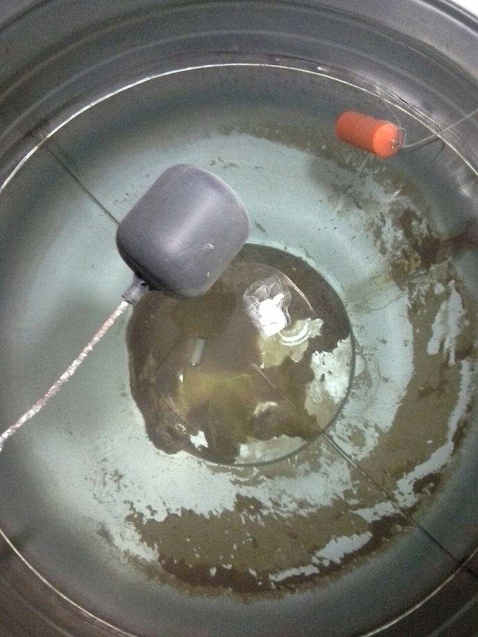 清洗水塔前-水塔霉垢