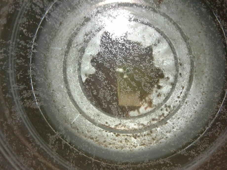 清洗水塔前-水塔霉垢