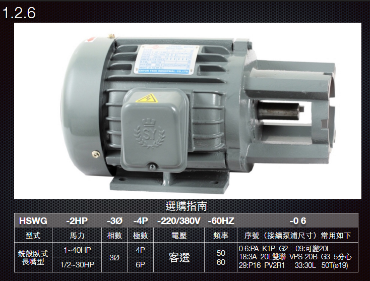 1.2.6-HSWG型-銑殼臥式長嘴型馬達