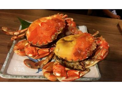 武侍酒日式居酒屋-undefined