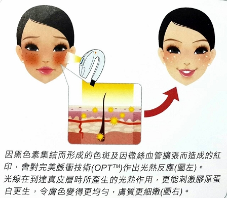 葉婦產科診所-外科
