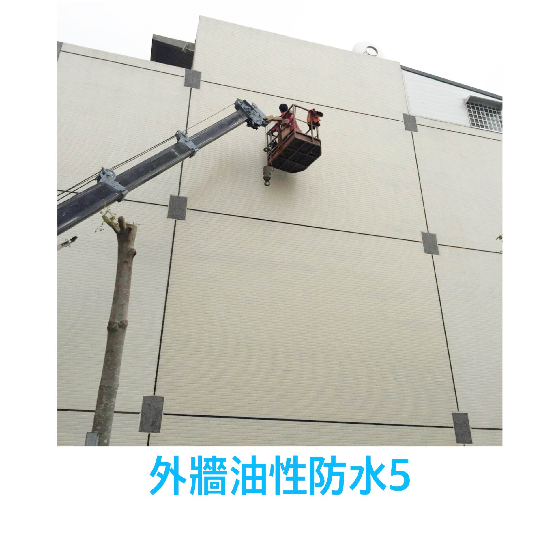 外牆~油性防水6
