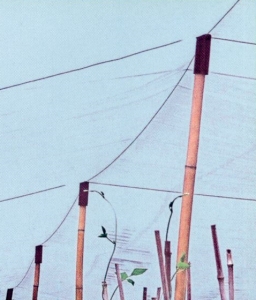 東昇農業資材行-鋼鐵