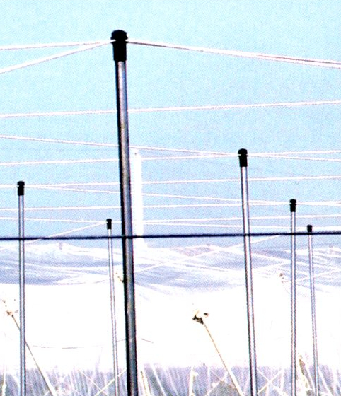 13.特多龍大索2~8分