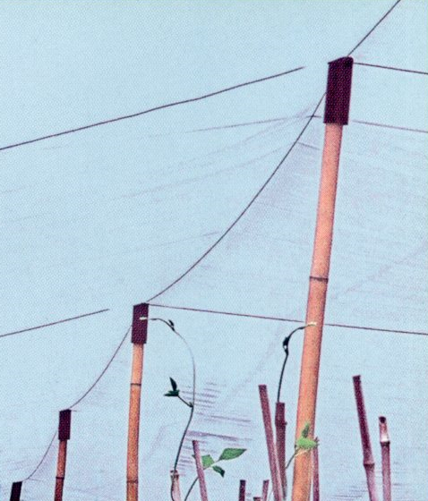 6.通用雙螺絲厚片-壓繩管帽組