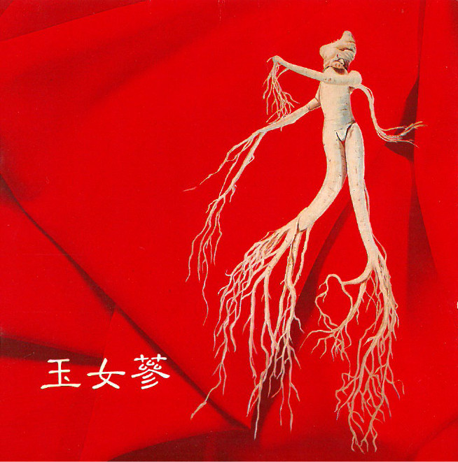 玉女蔘(限量)~一心堂藥行