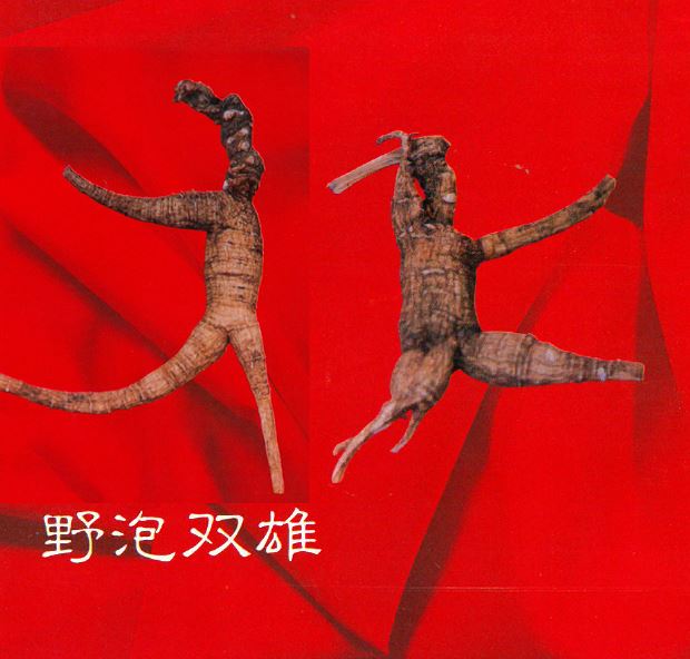 西洋蔘-野泡雙雄~一心堂藥行