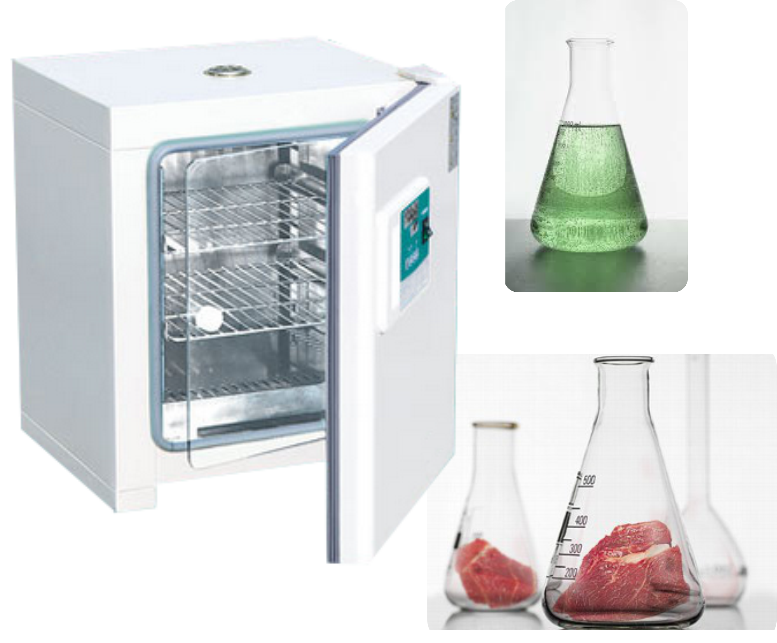 恆溫培養箱CB-305