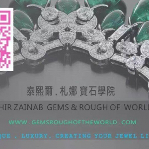 泰熙爾 札娜寶石學院-undefined