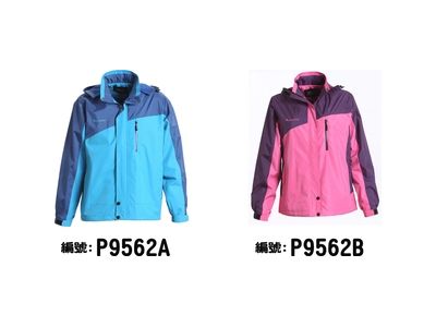 立大國際開發有限公司-undefined