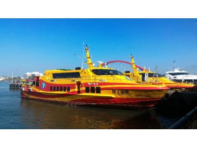 泰富國際輪船股份有限公司-undefined