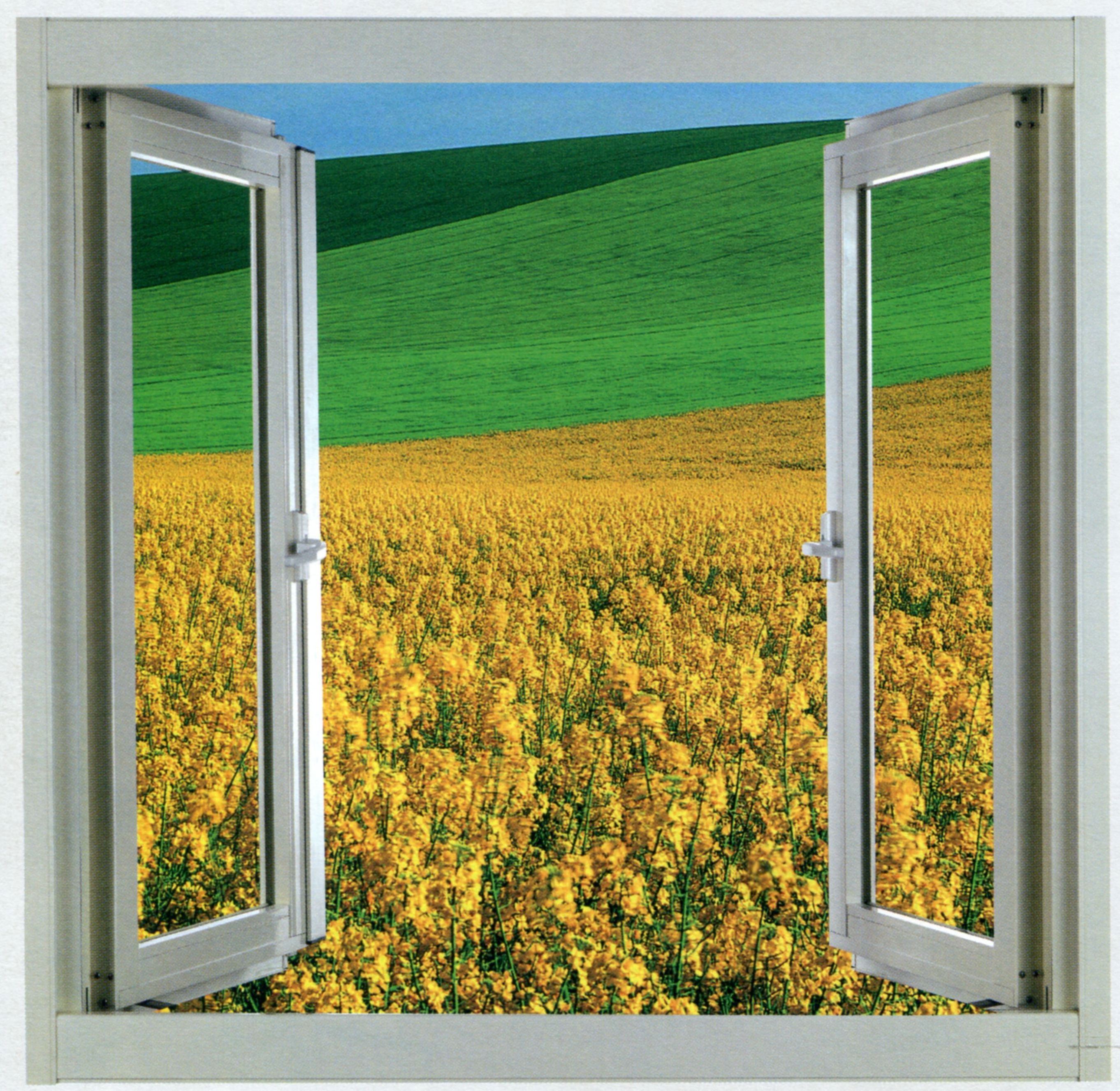 對開推射氣密窗(無中柱)