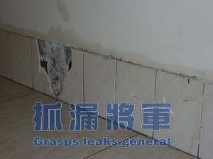 壁癌嚴重導致磁磚脫落