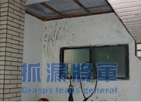 常常見室內壁癌