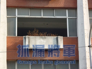 花圃導致內部牆面滲水壁癌