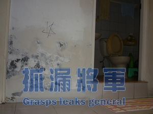 浴室外牆下方壁癌