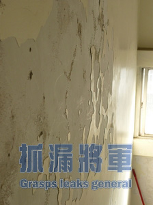 壁癌漆料無法防治剝落情形1