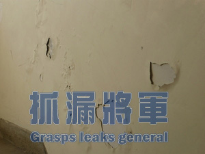 壁癌漆料無法防治剝落情形2