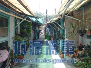 外牆無法施作防水於內牆可施作壁癌處理(老舊眷村)