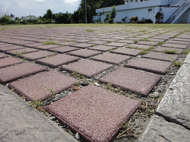 植草磚(公共區)