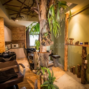 V-Space髮藝沙龍 (竹北成功店)-undefined